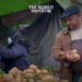 Tunisia Launches Fourth National Subscription to Raise $225 Million
