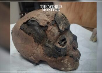 Egypt Restores Ancient Artifacts from New Zealand