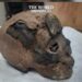 Egypt Restores Ancient Artifacts from New Zealand