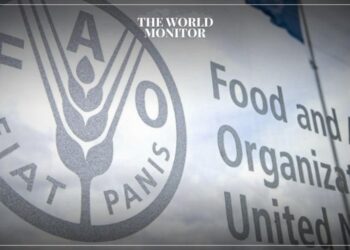 FAO Launches Plan to Reduce Agrifood System Emissions at COP28