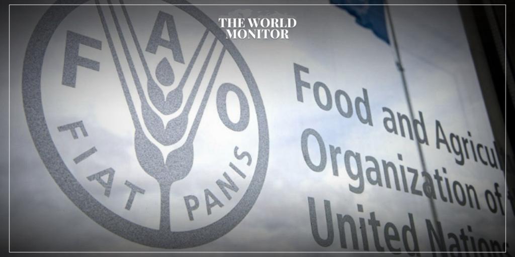 FAO Launches Plan to Reduce Agrifood System Emissions at COP28