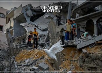 Egypt Highlights Effects of Israeli War on “Palestinian Cause”