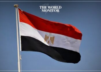 Egypt Participates in G20 Meetings in Brazil