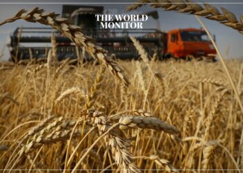 Russia Sends 200,000 Tons of Grain Aid to Africa