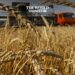 Russia Sends 200,000 Tons of Grain Aid to Africa