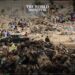 Drone Strike Accidently Kills 85 in Nigeria