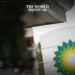 BP Pauses Oil Shipments through Red Sea