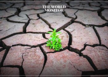 Egypt Warns of Water Scarcity & Food Shortages at COP28