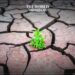 Egypt Warns of Water Scarcity & Food Shortages at COP28