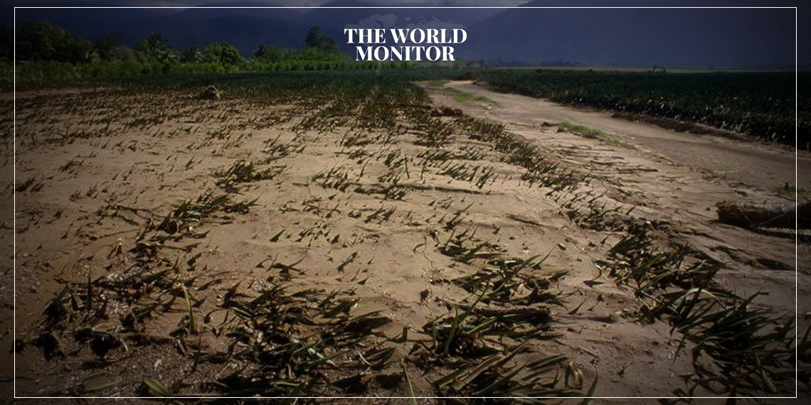 UN Food Agency Urges Urgent Action on Climate Change