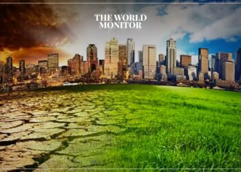 UAE's Climate Envoy Unveils Plans to Face Global Warming