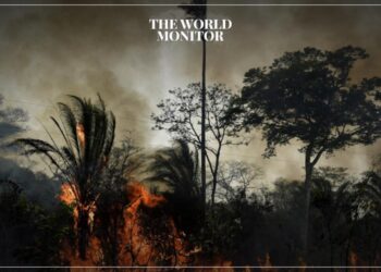 Amazon River Witnesses Highest Drought Level in 120 Years