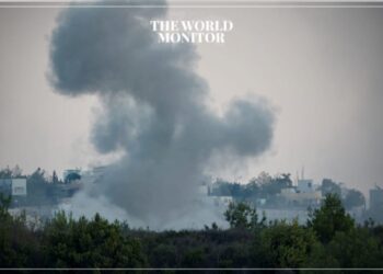 Lebanon Blames Israel for Burning 50,000 Ancient Olive Trees