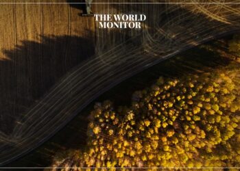 Egypt to Buy 420,000 Tons of Russian & Ukrainian Wheat