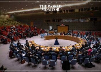 UN Security Council Demands End to Houthi Attacks in Red Sea
