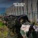 Israel Prepares for Expanded Military Operation on Lebanon Border