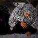 Gaza Death Toll Rises to 22,835