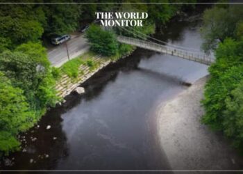 Widespread Pollution in 83% of English Rivers