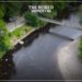 Widespread Pollution in 83% of English Rivers