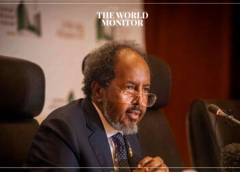 Somalia Accuses Ethiopia of Blocking President from AU Summit