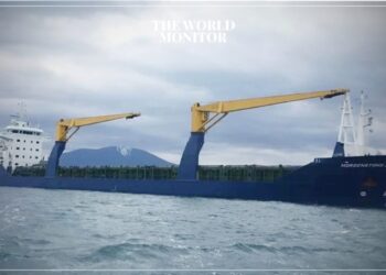 Houthis Damage 2 Ships in Red Sea