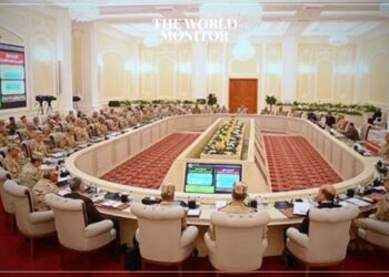Egypt's El-Sisi Addresses Strategic Concerns