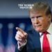 Trump Appears to Endorse Russian Actions Targeting NATO Allies