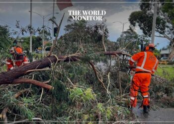 Wild Weather Cuts Electricity & Sparks Bushfires in Australia