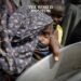 UN Allocates $100 Million for Underfunded Emergencies