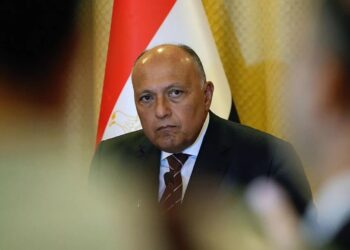 Egypt Calls for Defined Timeline for Independent Palestinian State