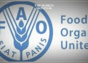 FAO Urges Action Against Locust Outbreak in Sudan