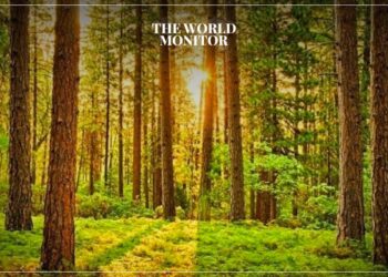 EU Grants France €720 Million to Combat Forest Damage