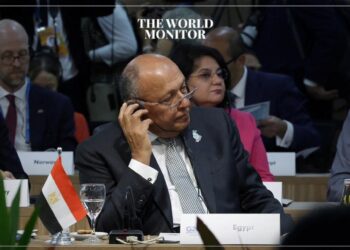 Egypt Criticizes International Response to Gaza War