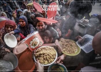 Human Rights Watch Accuses Israel of Hampering Aid to Gaza