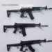 Russia Acquires Banned European Weapons
