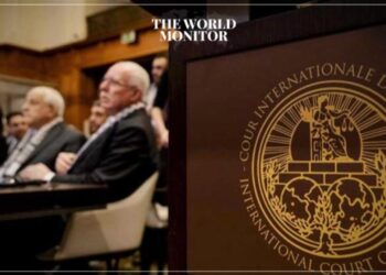 11 Countries Present Arguments at ICJ Over Israeli War in Gaza