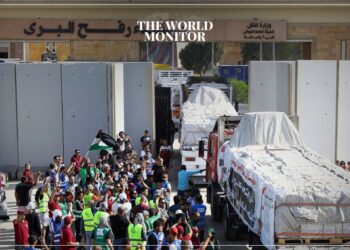 Egypt Asserts Commitment to Sending Humanitarian Aid to Gaza