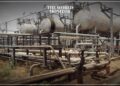 South Sudan's Oil Revenues Decline