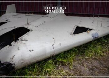 Ukrainian Forces Down 35 Drones  