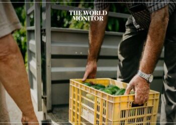 FAO: Red Sea Crisis Will Increase Food Prices