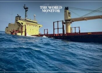 Cargo Ship Sinks in Red Sea