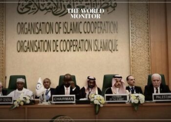OIC Calls for ICC Investigation into Israeli War Crimes
