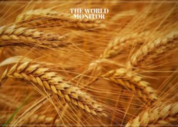 Algeria Launches Tender to Buy 50,000 Tons of Wheat