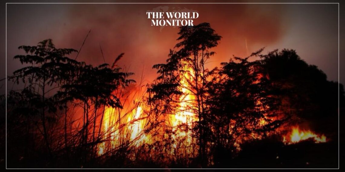 4 People Killed in Wildfires in Mexico