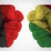 Libya & Congo Discuss National Reconciliation File
