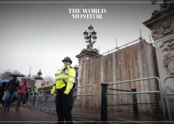 Man Arrested Following Car Crash at Buckingham Palace Entrance