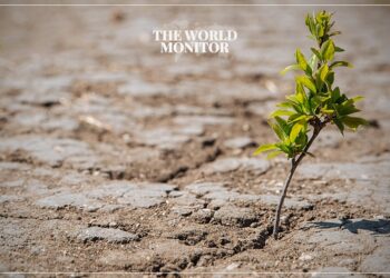 Climate Change Affects Economy & Agriculture in Europe