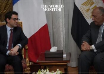 Egypt & France Call for Gaza Ceasefire
