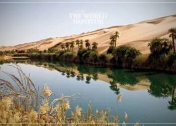 Libya Unveils Development Plans in Oasis Regions