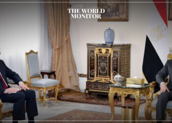 Egypt & Russia Review Regional Situation